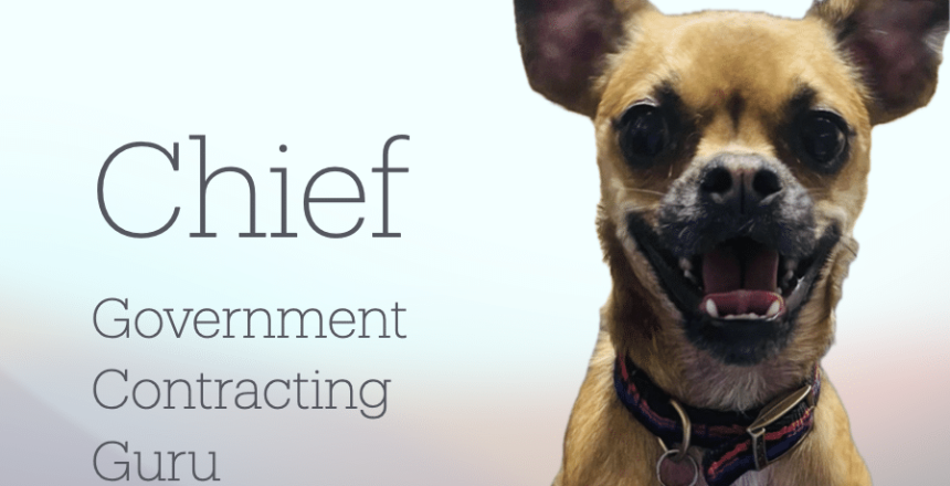 GovCon Lessons from a Dog